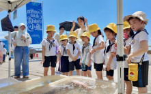 少子化衝擊 去年2萬所幼稚園關停