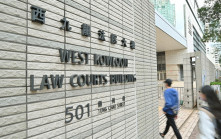 裝修工涉夾公仔店盜32隻公仔包括Labubu 還押至8.12再訊