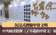 沉浸式體驗甲骨文明 中央圖書館辦《了不起的甲骨文》展覽至7月22日