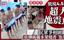 天災預兆？｜越南驚現4.5米「超大地震魚」　民眾爭相圍觀
