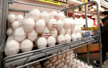 全球蛋價連月飆升 日本累漲逾兩成 受累禽流感爆發 再有地區囤蛋