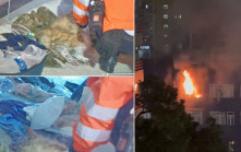 上環唐樓單位起火傳爆炸聲 兩小貓生死未卜 3白鴿2龜葬身火海