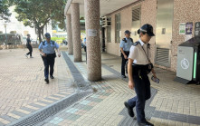 石硤尾白田邨英國短毛貓墮樓  傷重死亡