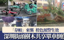 韋帕颱風︱深圳橙色預警生效  街頭樹木共享單車倒伏