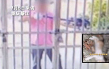 CCTV︱重慶5旬漢持弓弩  鄰居閘外疑射殺2幼貓