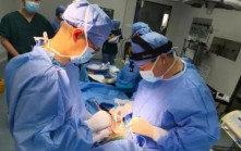 世界首例 安徽一醫院將豬肝移植給肝癌病人