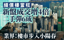 細價樓當旺 新盤成交增4倍 二手彈6成 業界：樓市步入小陽春