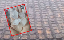 北上注意︱廣東多地遇冰雹襲擊   廣州有廠棚民房頂被擊穿︱有片