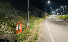 筲箕灣兩野豬捱私家車撞 1死1傷 馬路遺下血跡