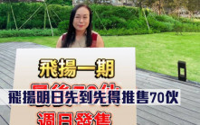 熱辣新盤放送｜飛揚明日先到先得推售70伙