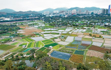 粉嶺17區公屋項目暫緩 梁文廣倡在已規劃項目增加單位數量  追回單位數量
