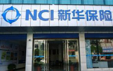 新華保險擬與國壽設私募基金 各出資250億 擬增長期投資資產