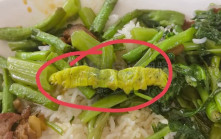 涉嫌飯菜出現鼠頭的高校食堂又出事 學生稱吃出毛蟲