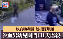 殺貓｜廣州幼兒園門口1天虐殺4隻貓 冷血男手法殘忍僅被思想教育