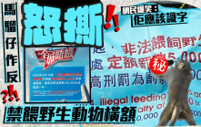 搵食艱難 馬騮仔作反？ 怒撕禁餵野生動物橫額 網民爆笑：佢應該識字｜Juicy叮