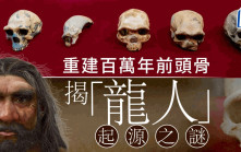 考古大發現︱100萬年神秘頭骨獲重建  或解「龍人」起源之謎