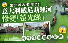 威尼斯運河慘變「螢光綠」 疑為環保活動人士所為