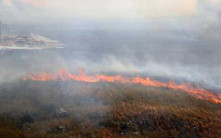 意大利西西里島山火延燒  附近市鎮兩死