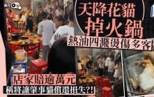 火鍋店老闆醫跌入湯底花貓 食客激讚爭幫襯變人龍店︱有片