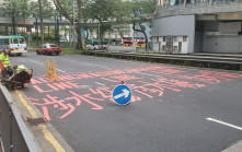提醒行車路水浸風險涉水綫色樣曝光  政府5試點推行  議員促政府盡快評估標示成效