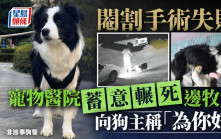 內蒙古寵物醫院閹狗失敗 蓄意輾死  稱方便向保險索償「為你好」