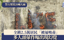 土耳其警方焚毀20噸大麻 全鎮2.5萬居民「被逼吸毒」多人頭暈作嘔出現幻覺
