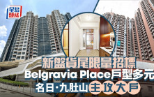 新盘货尾限量招标 乘势促销广吸客源 Belgravia Place户型多元 名日．九肚山主攻大户