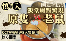 江蘇職業學院飯堂麻醬驚現原隻老鼠   校方：有8人曾使用