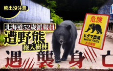 北海道熊出沒 | 52歲送報員遇襲慘死  居民目睹整個人被拖走