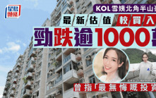 KOL雪姨北角半山豪宅 最新估值較買入價勁跌逾1000萬 曾指「最無悔嘅投資！」 