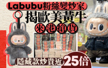 Labubu粉絲變炒家 揭歐美黃牛來港搶貨 隱藏款炒貴近25倍