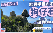 南丫島「狗仔石」極神似 網民：去咗咁多次都唔知有呢度（按入去睇地點）｜Juicy叮