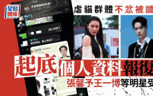 虐貓群體不忿被譴責 起底明星個人資料報復 張馨予、肖戰、王一博等受害
