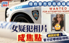 美國警方發女嫌通緝照　「胸」狠畫引全網熱議