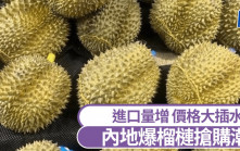 榴槤搶購潮｜進口量增價格大插水 有店家一日賣出300多個