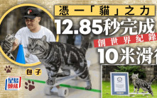 世界紀錄｜溫州「滑板貓」12.85秒完成10米滑行 堪稱奇蹟