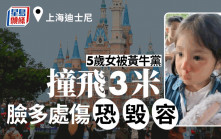 上海迪士尼│5歲妹慘遭「黃牛黨」撞飛3米外 臉龐全傷恐毀容