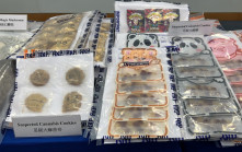 毒販以大麻製曲奇糖果招年輕客 警破工廈分銷中心拘2男女 檢170萬大麻相關毒品