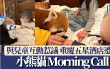 小熊貓Morning Call｜重慶五星酒店¥3000客房熱銷  突取消服務因……