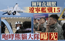 飛翔的食鐵獸︱中國最強戰機機師　遼寧艦殲15「咆哮熊貓」大隊曝光