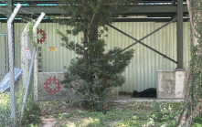 珍惜生命│九龍灣地盤男子上吊亡 警查身份