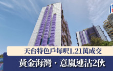 黃金海灣．意嵐連沽2伙 天台特色戶每呎1.21萬成交