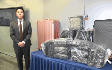帶$510萬大麻花泰國經首爾轉機到港 「飛機豬」與「監豬」同被捕