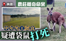 人「鼠」大戰︱美動物農莊爆離奇命案  男員工餵食疑遭袋鼠打死