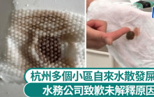 爆屎渠？｜杭州多個小區自來水散發屎臭 水務公司致歉沒交代原因