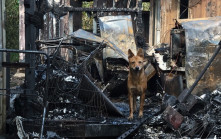 打鼓嶺貨櫃屋起火 逾20隻狗火海喪命