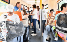 輕鐵「貓狗同行」試行計劃延至8月底 港鐵：市民反應正面 寵物主人守規