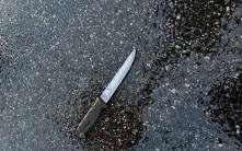 紐約男子持刀殺害4名親戚 遭警方開槍擊斃