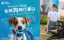 愛協「全城狗狗行善日」2025︰More than a Dog Walk！