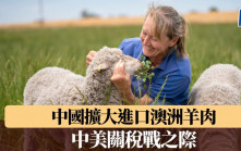 中美關稅戰之際 中國擴大進口澳洲羊肉